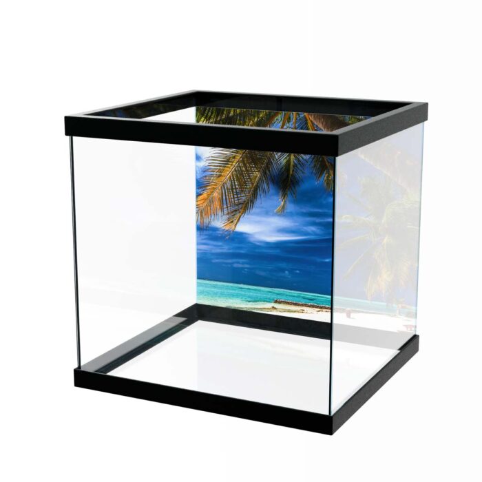 Tropical Bliss Dream will make a perfect background for any fresh or salt water tank or aquarium as well as dry terrariums.