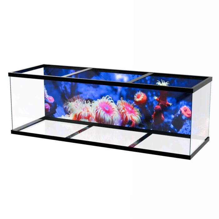 Underwater Life Radiance will make a perfect background for any fresh or salt water tank or aquarium as well as dry terrariums.