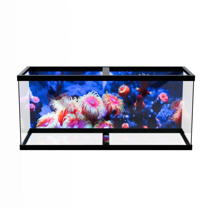 Underwater Life Radiance will make a perfect background for any fresh or salt water tank or aquarium as well as dry terrariums.