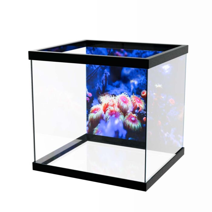 Underwater Life Radiance will make a perfect background for any fresh or salt water tank or aquarium as well as dry terrariums.