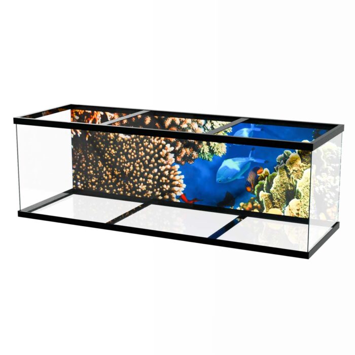 Coral Reef Ballet makes a perfect background for any fresh or salt water tank or aquarium as well as dry terrariums.