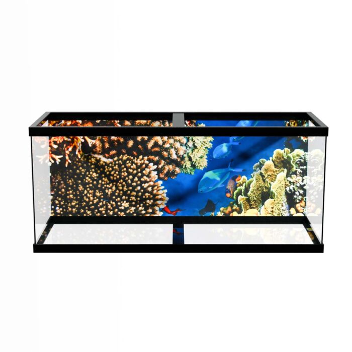 Coral Reef Ballet makes a perfect background for any fresh or salt water tank or aquarium as well as dry terrariums.