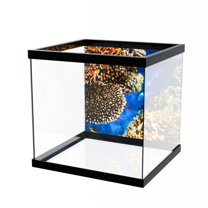 Coral Reef Ballet makes a perfect background for any fresh or salt water tank or aquarium as well as dry terrariums.