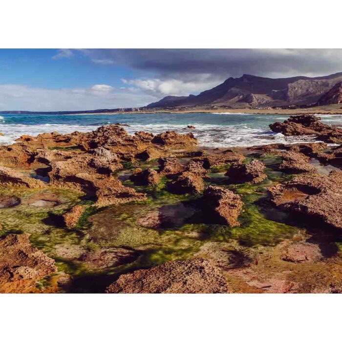 Coral Volcanic Eruption will make a perfect background for any fresh or salt water tank or aquarium as well as dry terrariums.