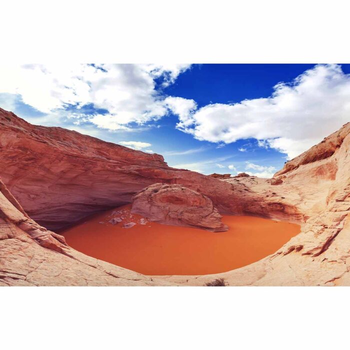 Cosmic Red River makes a perfect background for any fresh or salt water tank or aquarium as well as dry terrariums.