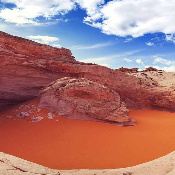 Cosmic Red River makes a perfect background for any fresh or salt water tank or aquarium as well as dry terrariums.