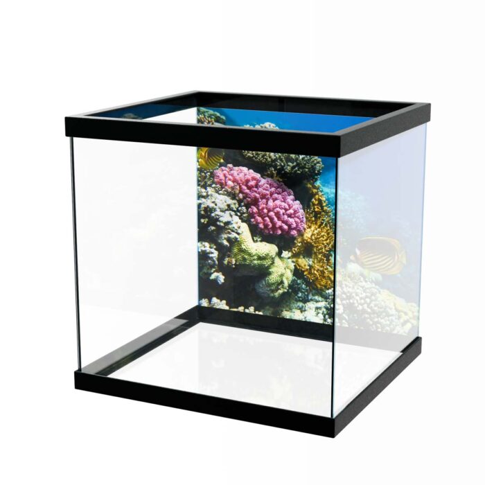 Teal Ocean Symphony will make a perfect background for any fresh or salt water tank or aquarium as well as dry terrariums.