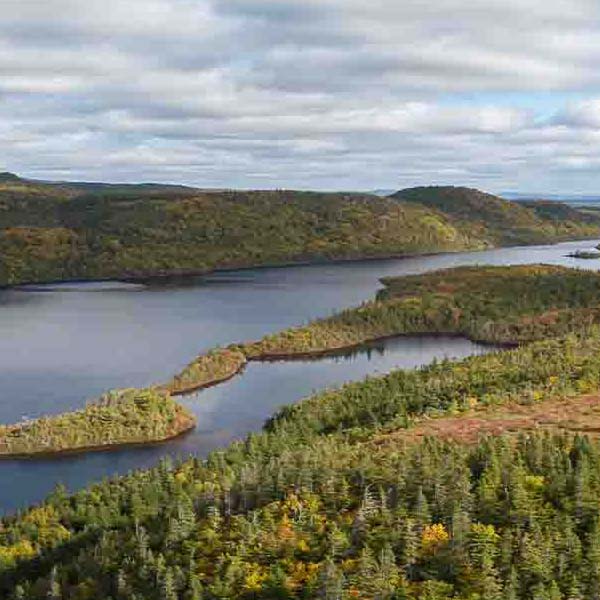 Aerial Lake Hills will make a perfect background for any fresh or salt water tank or aquarium as well as dry terrariums.