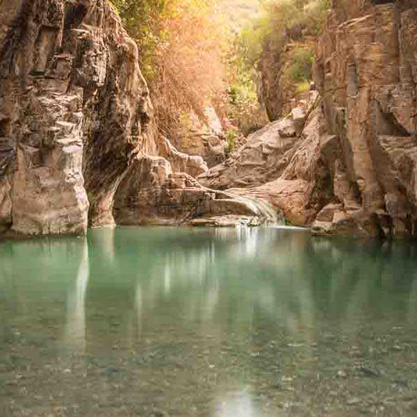 Amazing Jungle Waterfall makes a perfect background for any fresh or salt water tank or aquarium as well as dry terrariums.