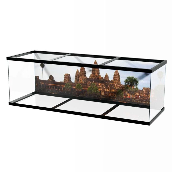 Angkor Temple located in Cambodia makes a perfect background for any fresh or salt water tank or aquarium as well as dry terrariums.