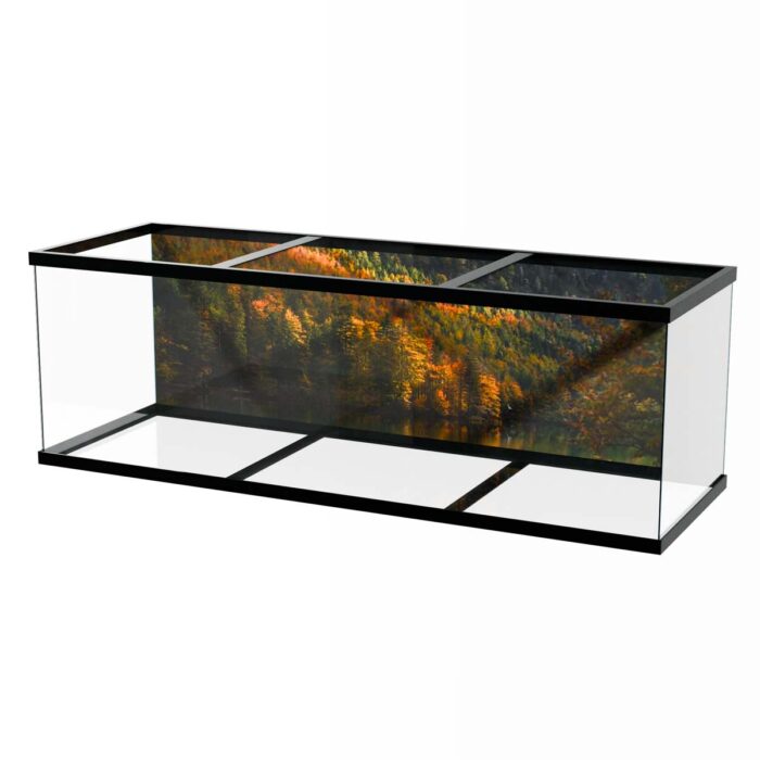 Autumn Forest Lake will make a perfect background for any fresh or salt water tank or aquarium as well as dry terrariums.