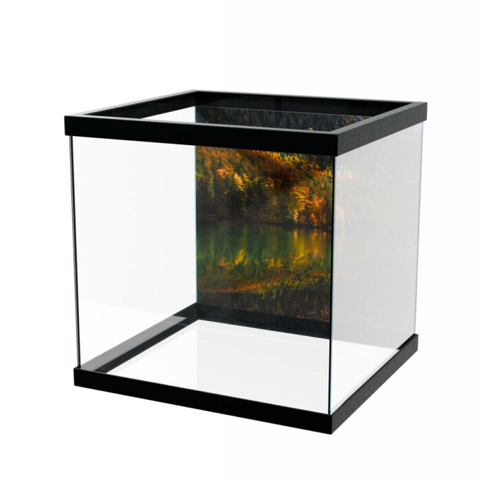 Autumn Forest Lake will make a perfect background for any fresh or salt water tank or aquarium as well as dry terrariums.