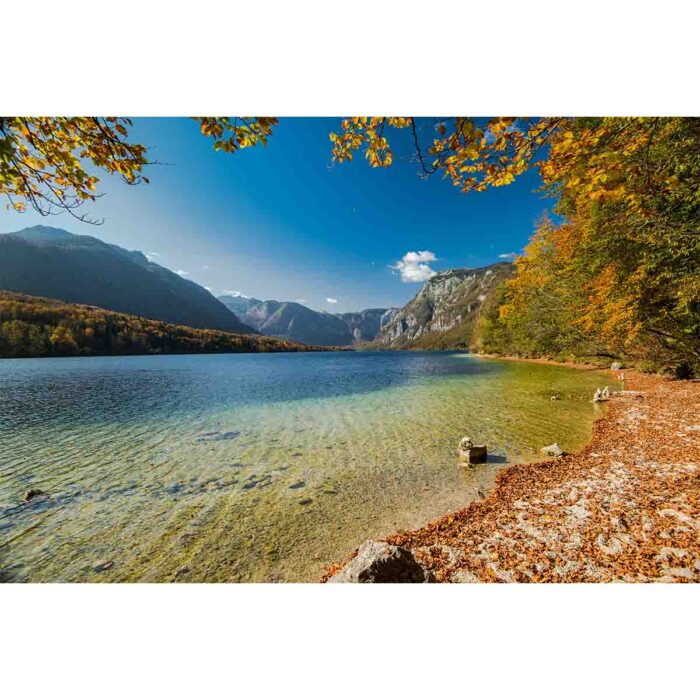 Stunning Autumn Lake makes a perfect background for any fresh or salt water tank or aquarium as well as dry terrariums.