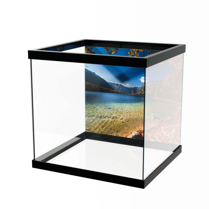 Stunning Autumn Lake makes a perfect background for any fresh or salt water tank or aquarium as well as dry terrariums.