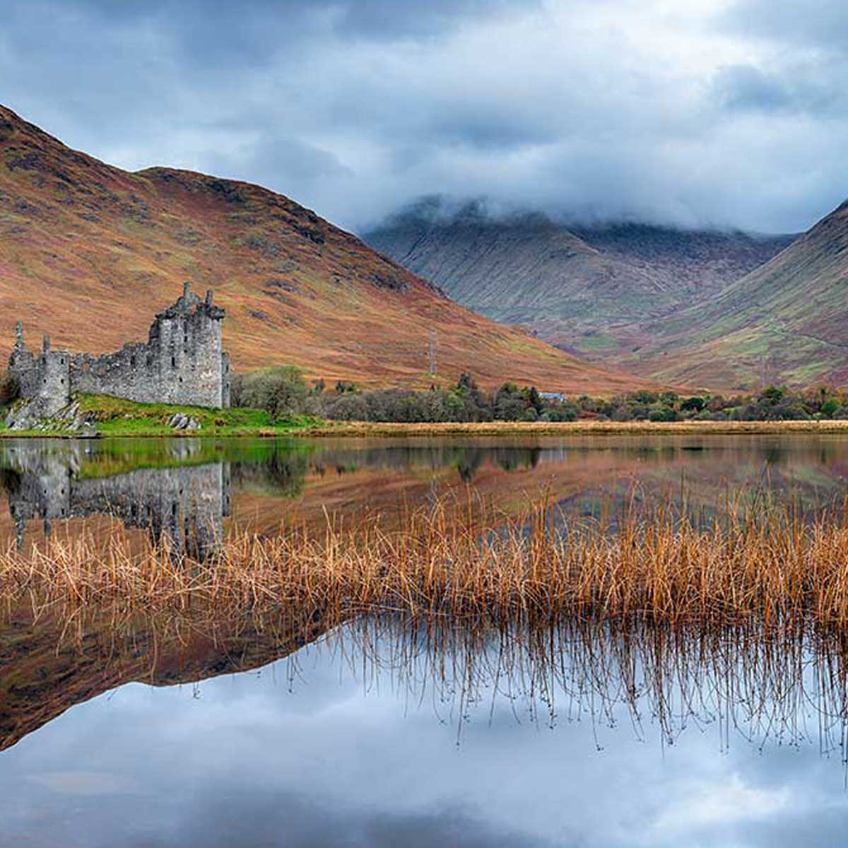 Autumn Castle at Kilchurn fresh and salt water aquarium and fish tank or dry tank and terrarium background