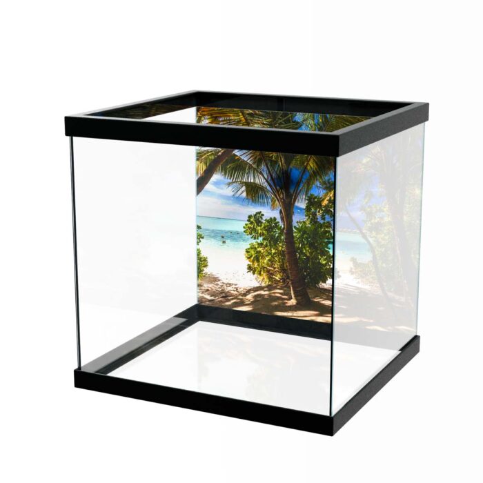 Palm Tree Beach makes a perfect background for any fresh or salt water tank or aquarium as well as dry terrariums.