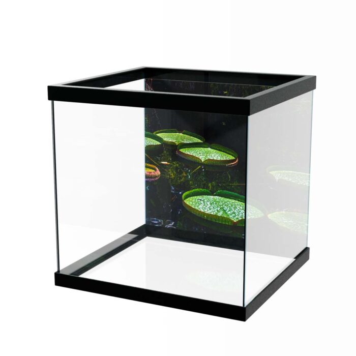 Green Lilly Pads makes a perfect background for any fresh or salt water tank or aquarium as well as dry terrariums.