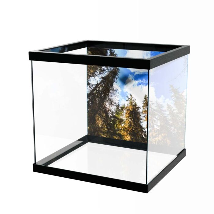 Blue Sky Forest will make a perfect background for any fresh or salt water tank or aquarium as well as dry terrariums.