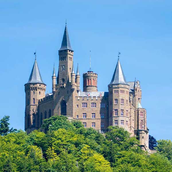 Blue Top Castle makes a perfect background for any fresh or salt water tank or aquarium as well as dry terrariums.