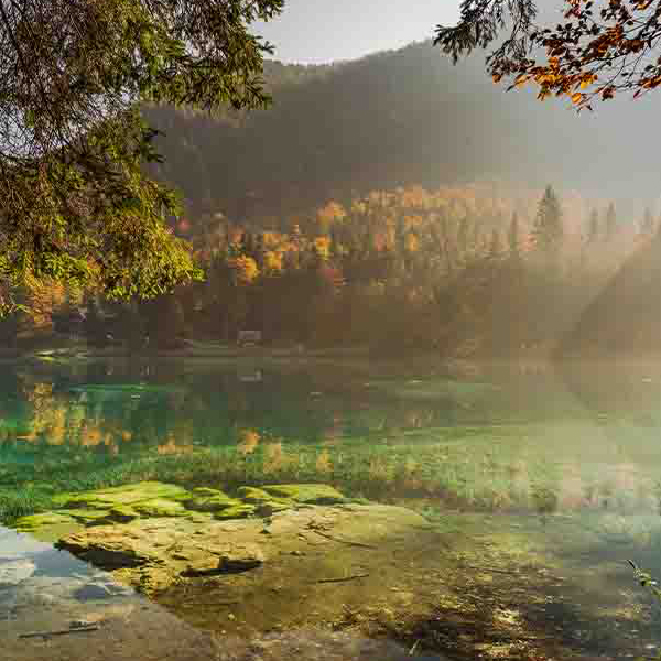 Clear Water Lake makes a perfect background for any fresh or salt water tank or aquarium as well as dry terrariums.