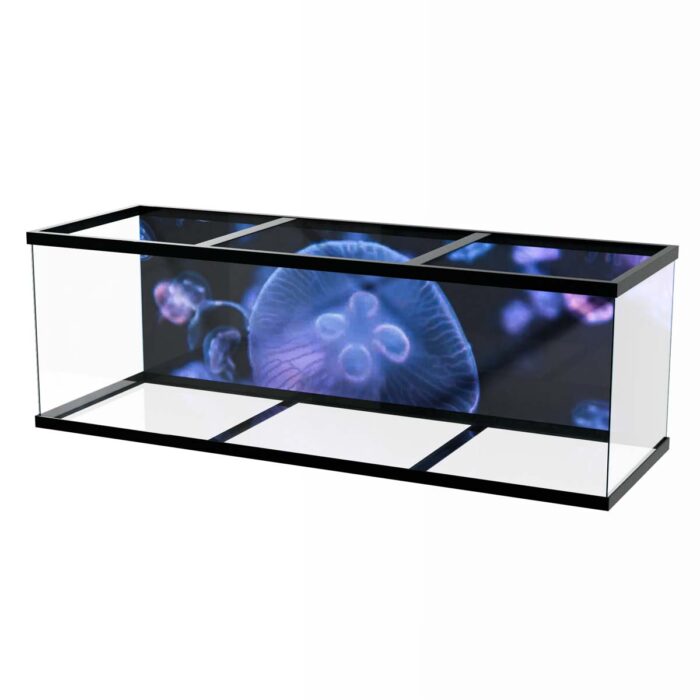 Multiple Colorful Jellyfish makes a perfect background for any fresh or salt water tank or aquarium as well as dry terrariums.