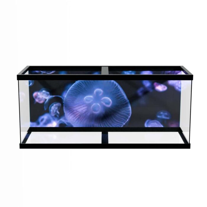 Multiple Colorful Jellyfish makes a perfect background for any fresh or salt water tank or aquarium as well as dry terrariums.