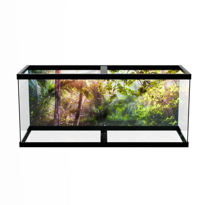 Costa Rica Jungle will make a perfect background for any fresh or salt water tank or aquarium as well as dry terrariums.