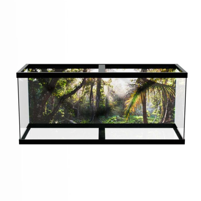 Costa Rica Jungle II will make a perfect background for any fresh or salt water tank or aquarium as well as dry terrariums.