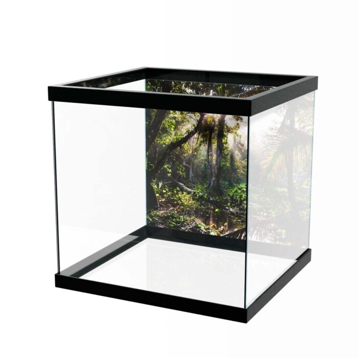 Costa Rica Jungle II will make a perfect background for any fresh or salt water tank or aquarium as well as dry terrariums.