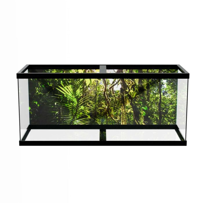 Costa Rica Jungle III will make a perfect background for any fresh or salt water tank or aquarium as well as dry terrariums.