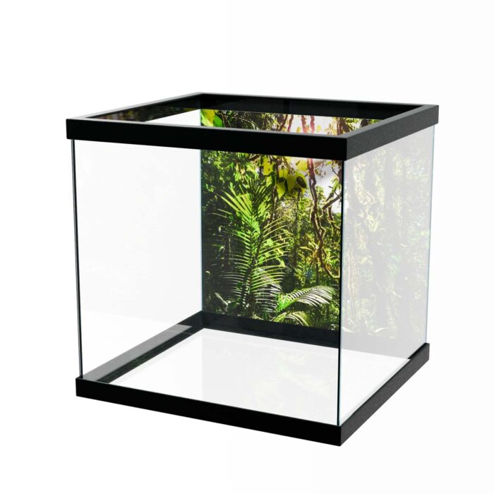 Costa Rica Jungle III will make a perfect background for any fresh or salt water tank or aquarium as well as dry terrariums.