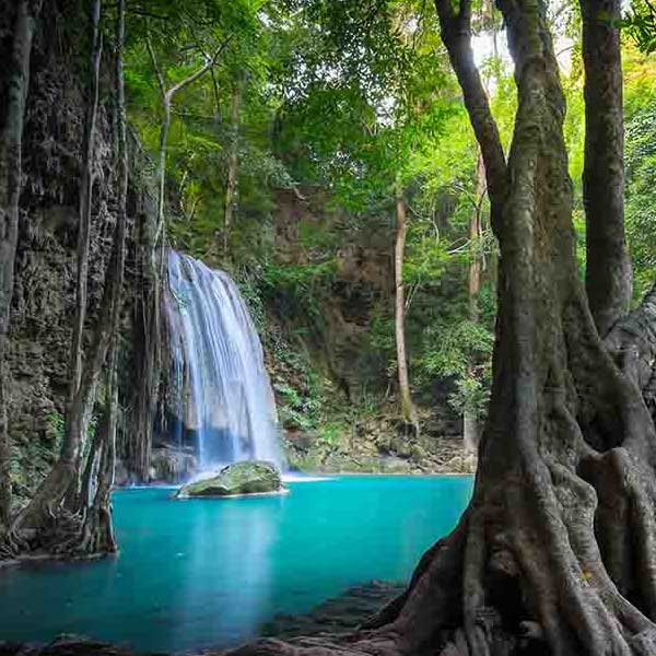 Erawan Jungle Waterfall makes a perfect background for any fresh or salt water tank or aquarium as well as dry terrariums.