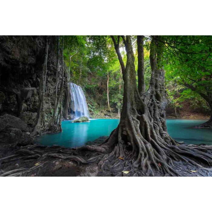 Erawan Jungle Waterfall makes a perfect background for any fresh or salt water tank or aquarium as well as dry terrariums.