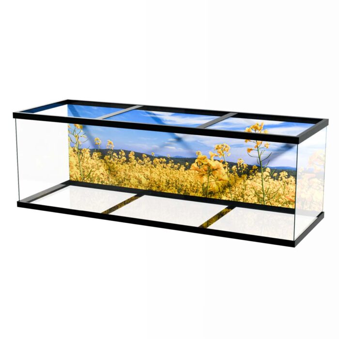 Vibrant Yellow Field will make a perfect background for any fresh or salt water tank or aquarium as well as dry terrariums.