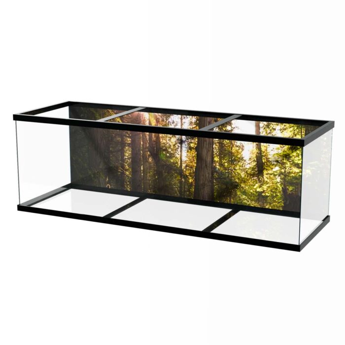 Forest Sunny Day will make a perfect background for any fresh or salt water tank or aquarium as well as dry terrariums.