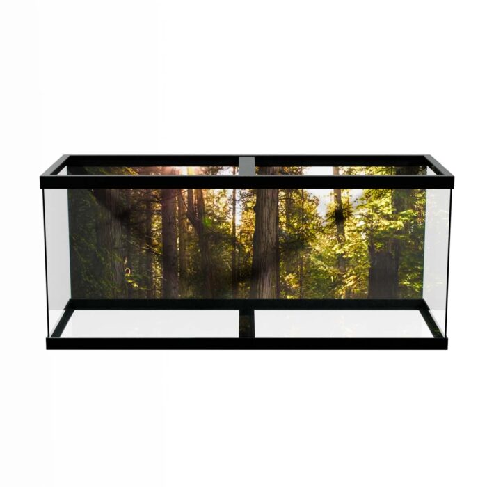 Forest Sunny Day will make a perfect background for any fresh or salt water tank or aquarium as well as dry terrariums.