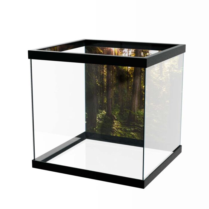 Forest Sunny Day will make a perfect background for any fresh or salt water tank or aquarium as well as dry terrariums.