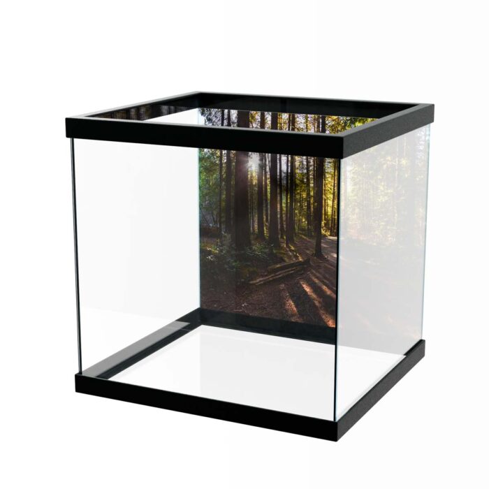 Fantastic Forest Trail II makes a perfect background for any fresh or salt water tank or aquarium as well as dry terrariums.