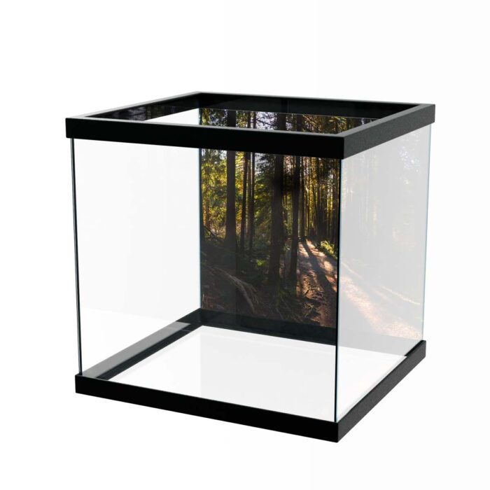 Fantastic Forest Trail III makes a perfect background for any fresh or salt water tank or aquarium as well as dry terrariums.