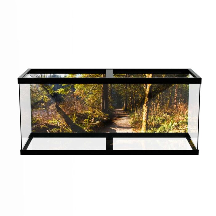 Fantastic Forest Trail IV makes a perfect background for any fresh or salt water tank or aquarium as well as dry terrariums.