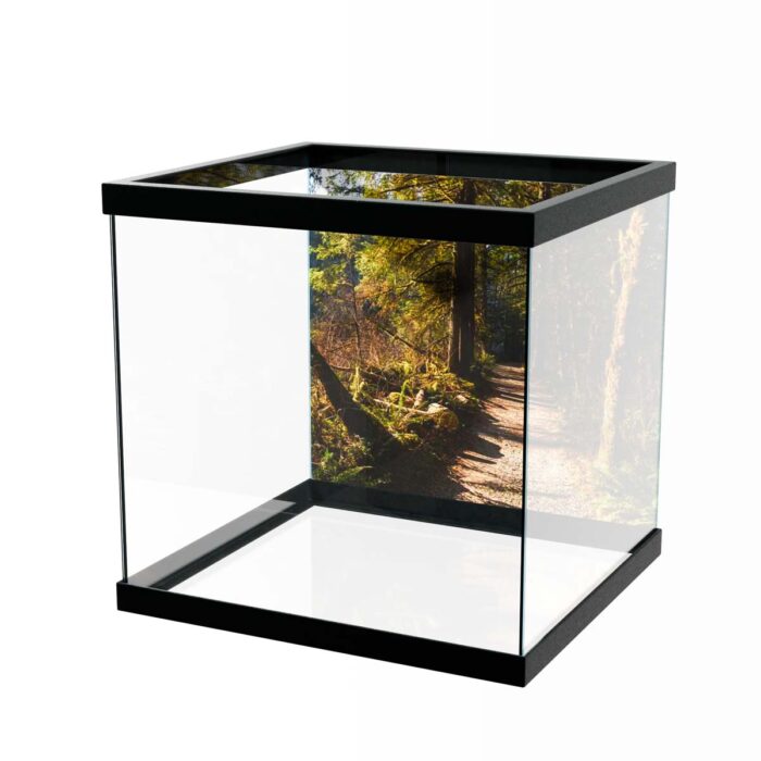 Fantastic Forest Trail IV makes a perfect background for any fresh or salt water tank or aquarium as well as dry terrariums.