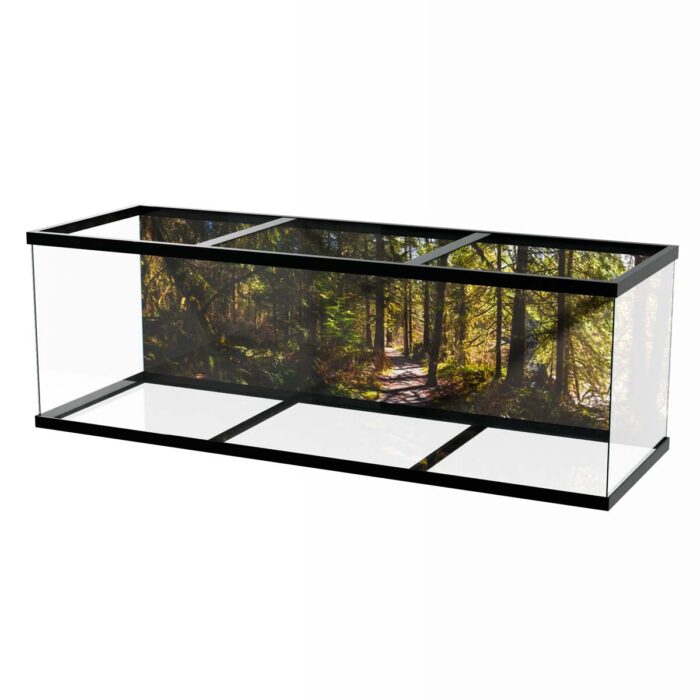 Fantastic Forest Trail V makes a perfect background for any fresh or salt water tank or aquarium as well as dry terrariums.