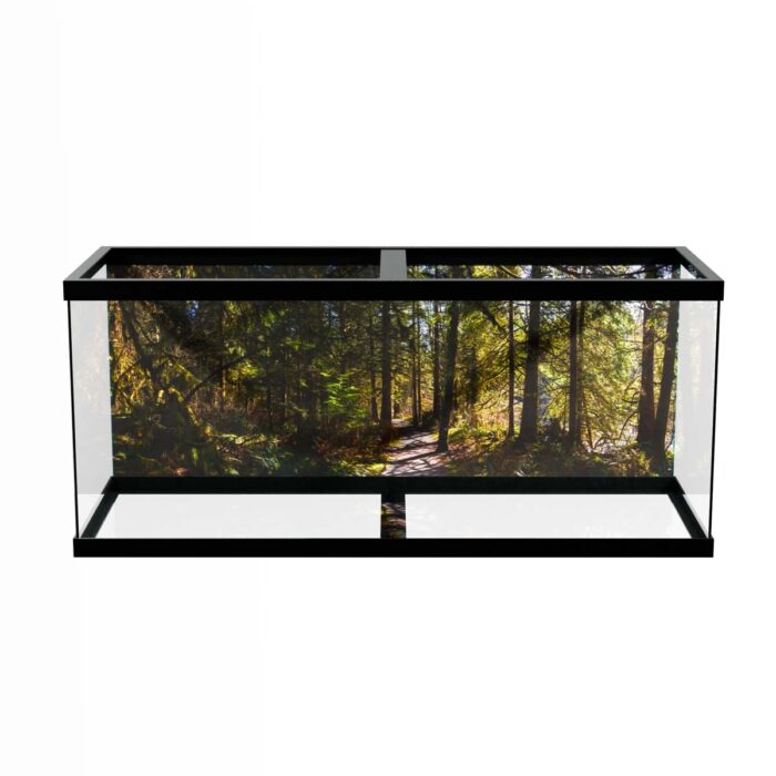 Fantastic Forest Trail V makes a perfect background for any fresh or salt water tank or aquarium as well as dry terrariums.