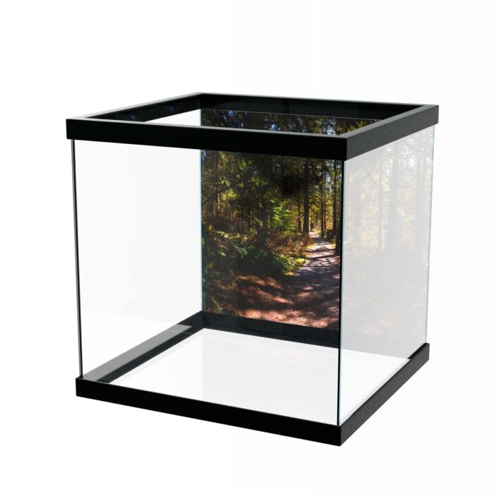 Fantastic Forest Trail V makes a perfect background for any fresh or salt water tank or aquarium as well as dry terrariums.