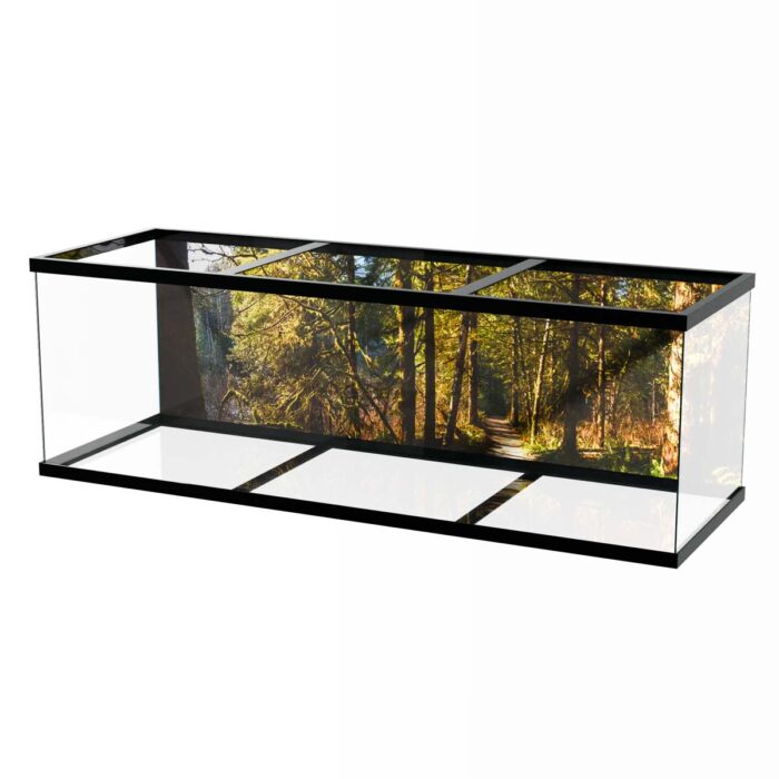 Fantastic Forest Trail VI makes a perfect background for any fresh or salt water tank or aquarium as well as dry terrariums.