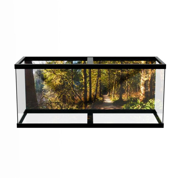 Fantastic Forest Trail VI makes a perfect background for any fresh or salt water tank or aquarium as well as dry terrariums.