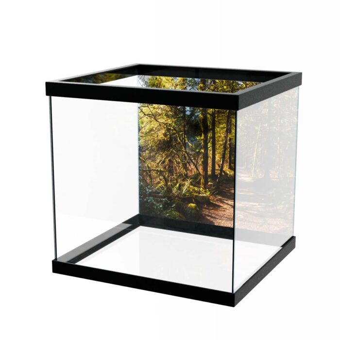 Fantastic Forest Trail VI makes a perfect background for any fresh or salt water tank or aquarium as well as dry terrariums.