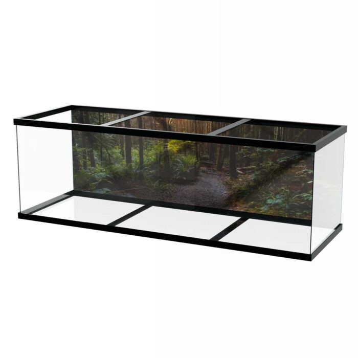 Fantastic Forest Trail VII makes a perfect background for any fresh or salt water tank or aquarium as well as dry terrariums.