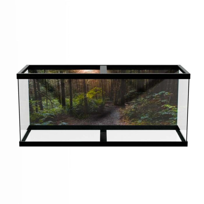 Fantastic Forest Trail VII makes a perfect background for any fresh or salt water tank or aquarium as well as dry terrariums.