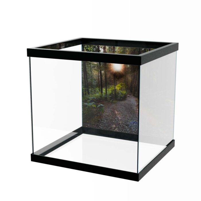 Fantastic Forest Trail VII makes a perfect background for any fresh or salt water tank or aquarium as well as dry terrariums.